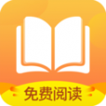 电脑挂梯子加速软件